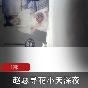 寻花小天深夜肉肉身材美妇