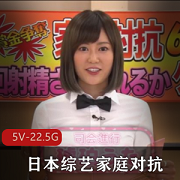 日本综艺家庭对抗系列合集高清5V22.5G