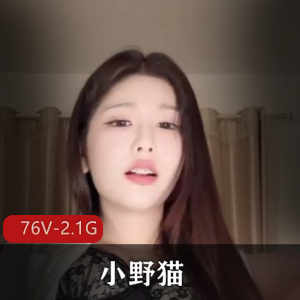 网红短视频小野猫最新合集76V2.1G，纯女人道具秀