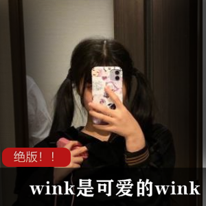 绝版！快手甜美王wink最新合集587P22V，清纯可爱，互动视频！