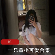 某站董小可爱玉女网红合集88部50G太勾人了