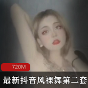 风热舞第二套抖音劲舞36部720MB超正点