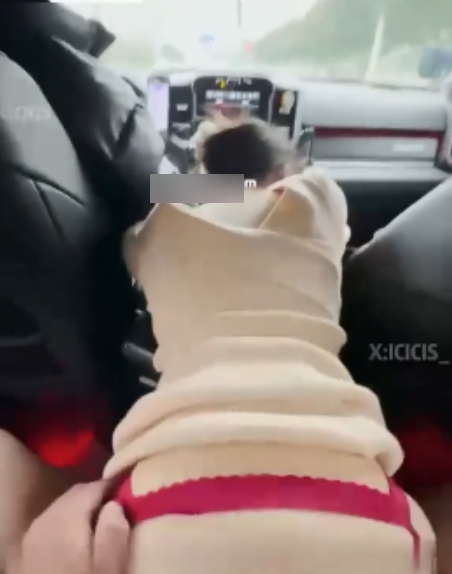 百度盘Icicis反差小狗幼师视图合集48P58V7.15G