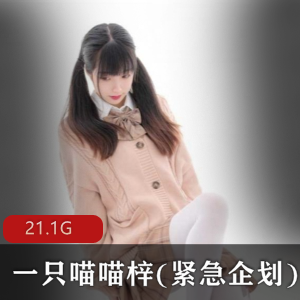 P站喵喵梓紧急企划20套合集21.1G白丝致命诱惑