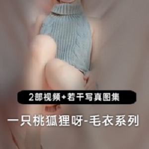 曲线火辣微博一只桃狐狸呀灰色毛衣视频合集72部40G